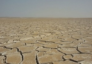 خشکسالی ۵۹ میلیارد تومان به اراضی شهرستان نیمروز خسارت وارد کرد