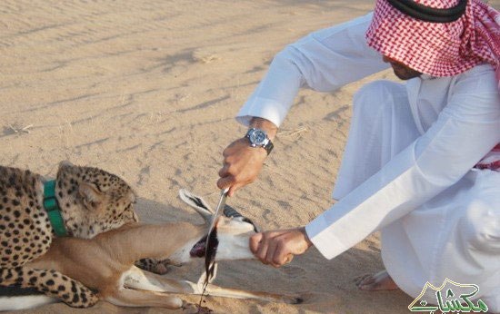 تفریحات عجیب و غریب جوانان سعودی+ تصاویر