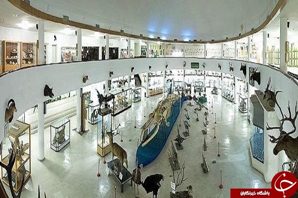 بازدید رایگان گردشگران نوروزی از موزه تاریخ طبیعی آذربایجان شرقی