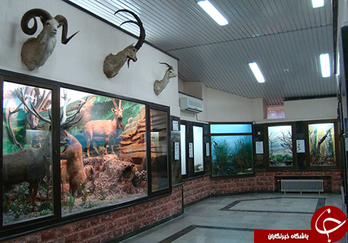 شرق گلستان با چشم نوازی و زیبایی&zwnj;های شهرستان گالیکش