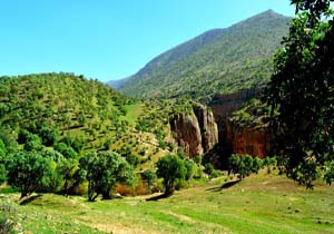 نمایی از طبیعت زیبا و بهاری در سرپل ذهاب + تصاویر