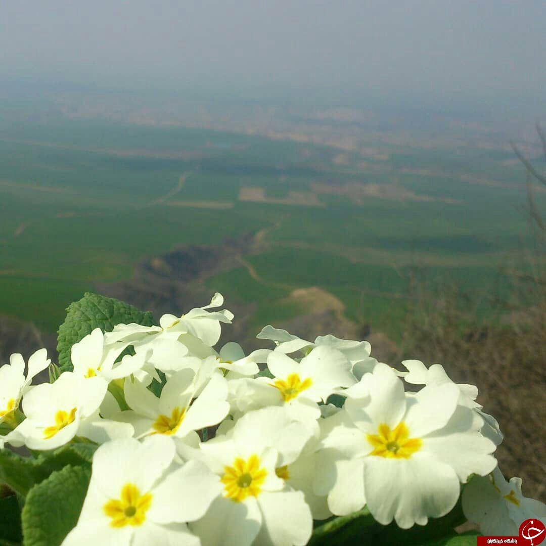 طبیعت زیبا و بکر در کلاله + تصاویر