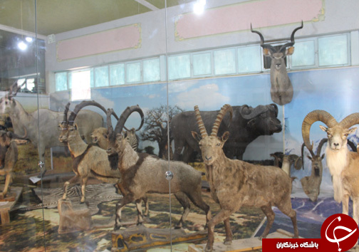 حضور گردشگران نوروزی در موزه طبیعت و حیات وحش خرم آباد