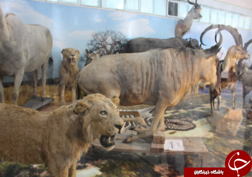 حضور گردشگران نوروزی در موزه طبیعت و حیات وحش خرم آباد