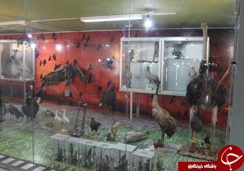 حضور گردشگران نوروزی در موزه طبیعت و حیات وحش خرم آباد