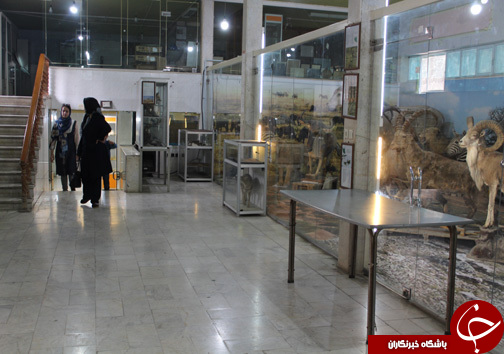 حضور گردشگران نوروزی در موزه طبیعت و حیات وحش خرم آباد