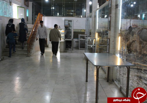 حضور گردشگران نوروزی در موزه طبیعت و حیات وحش خرم آباد