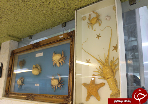 حضور گردشگران نوروزی در موزه طبیعت و حیات وحش خرم آباد