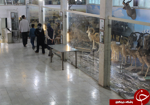 حضور گردشگران نوروزی در موزه طبیعت و حیات وحش خرم آباد