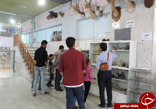 حضور گردشگران نوروزی در موزه طبیعت و حیات وحش خرم آباد
