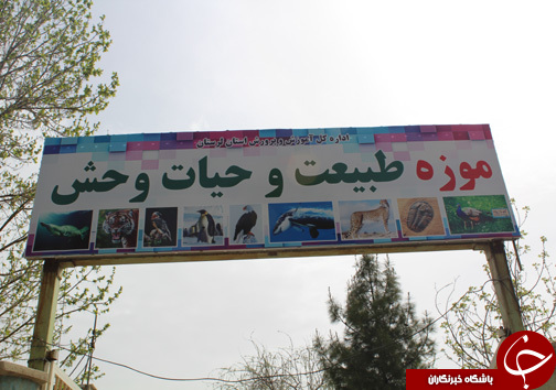 حضور گردشگران نوروزی در موزه طبیعت و حیات وحش خرم آباد