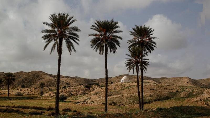 عکس/ خانه&zwnj;&lrm; انسان&zwnj;های غارنشین