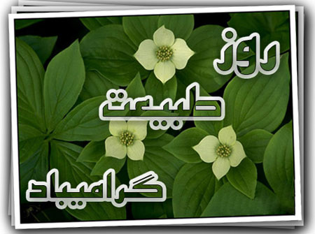 نکات زیست محیطی در روز13 فروردین که باید رعایت شود