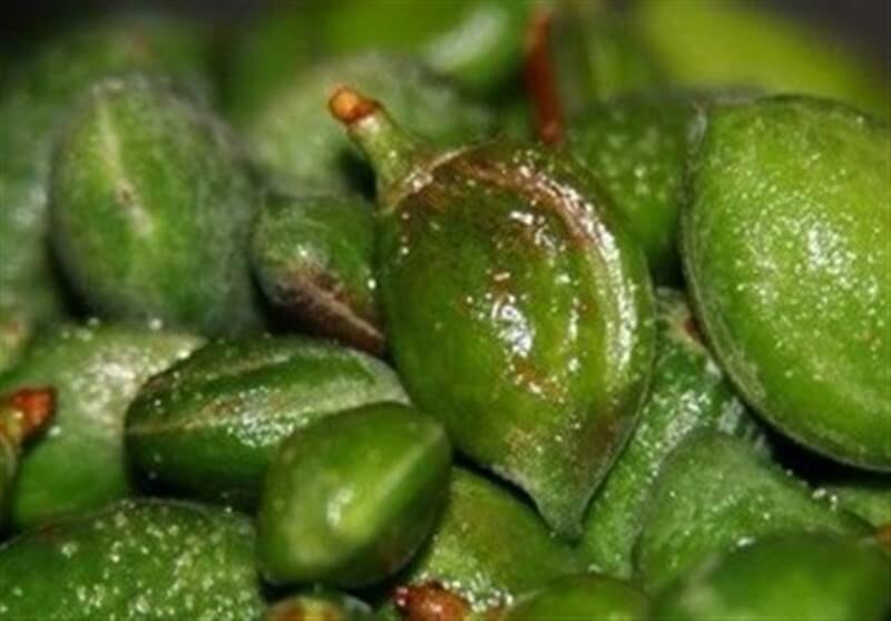 مظنه فروش چغاله بادام در میادین میوه و تره بار