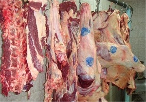 توصیه دامپزشکی قزوین به شهروندان برای روز طبیعت