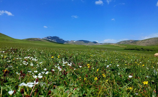 شهرستان رابر، بام سرسبز کرمان