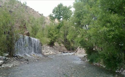 شهرستان رابر، بام سرسبز کرمان