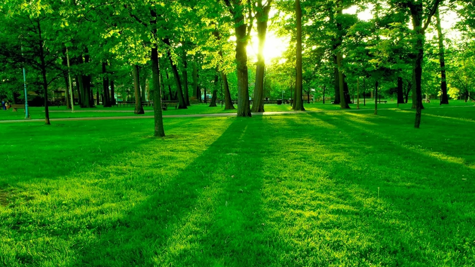 توصیه های ایمنی در روز طبیعت +اینفوگرافیک