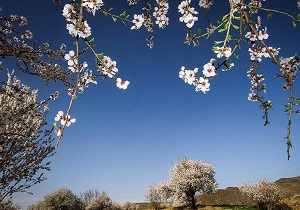 پیش بینی آسمان صاف تا قسمتی ابری و وزش باد