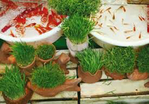 نابودی طبیعت با ماهی قرمز و سبزه