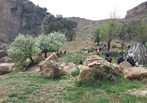 سبزه‌ها در سیزده‎به‎در گِرِه خوردند