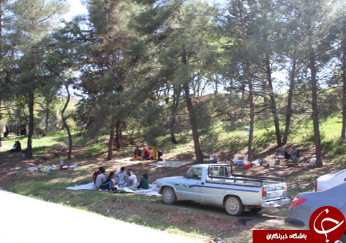 روز طبیعت در پارک جنگی شوراب خرم آباد به روایت تصویر