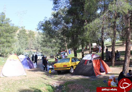 روز طبیعت در پارک جنگی شوراب خرم آباد به روایت تصویر