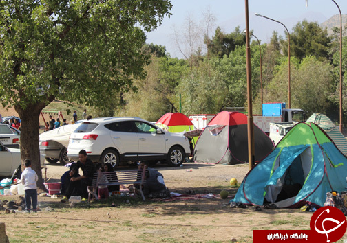 روز طبیعت در پارک جنگی شوراب خرم آباد به روایت تصویر