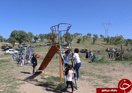 روز طبیعت در پارک جنگی شوراب خرم آباد به روایت تصویر
