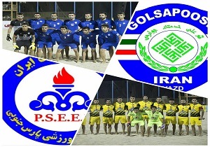 گلساپوش آماده اوراسیا
