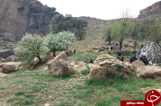تصاویری زیبا از گردشگاه پیرغار در روز طبیعت