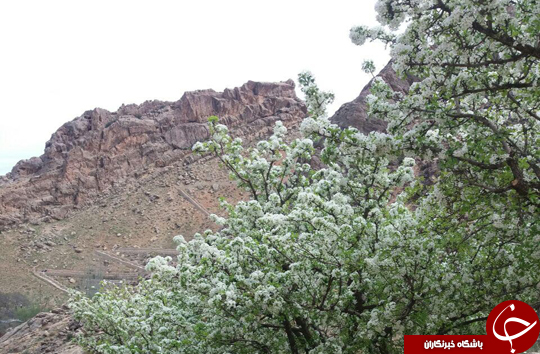 تصاویری زیبا از گردشگاه پیرغار در روز طبیعت