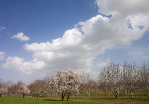 پیش بینی آسمان نیمه ابری و گاهی وزش باد