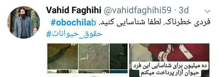رفتار وحشیانه مرد جوان با یک سگ جهانی شد + فیلم/18+