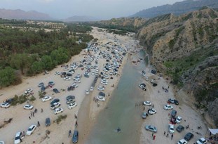 مسئولان از جنگل گلوبردکان ریز حفاظت کنند