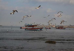 شناور‌های صیادی سیستان و بلوچستان از رفتن به دریا خودداری کنند