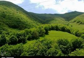 چگونه در گرمای تابستان بدون کولر خنک بمانیم؟