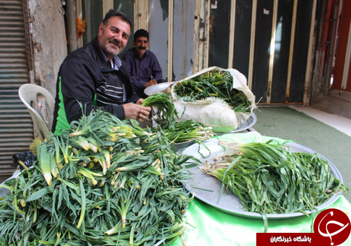 با فرارسیدن بهار بازار با گیاهان خوراکی- دارویی بومی منطقه زاگرس عطرآگین می&zwnj;شود + تصـاویر