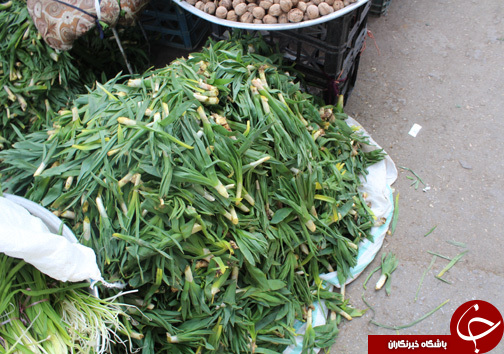 با فرارسیدن بهار بازار با گیاهان خوراکی- دارویی بومی منطقه زاگرس عطرآگین می&zwnj;شود + تصـاویر