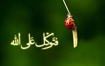 ایمان یک انسان مومن چه زمانی حقیقی و راستین است؟ +تصویر