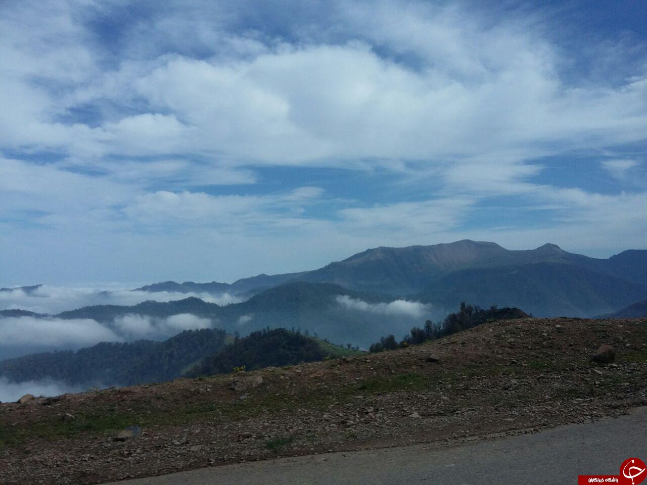 چشم&zwnj;نوازی از طبیعت زیبا در ماسال + تصاویر