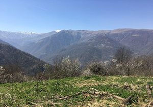 نمایی از طبیعت بکر در روستای سیاهمزگی + تصاویر
