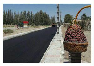 اجرای ۶۰ طرح هادی روستایی تا کنون در ریگان