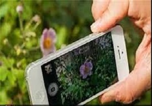 اعلام فراخوان مسابقه عکاسی موبایلی نوروز امسال در کردستان