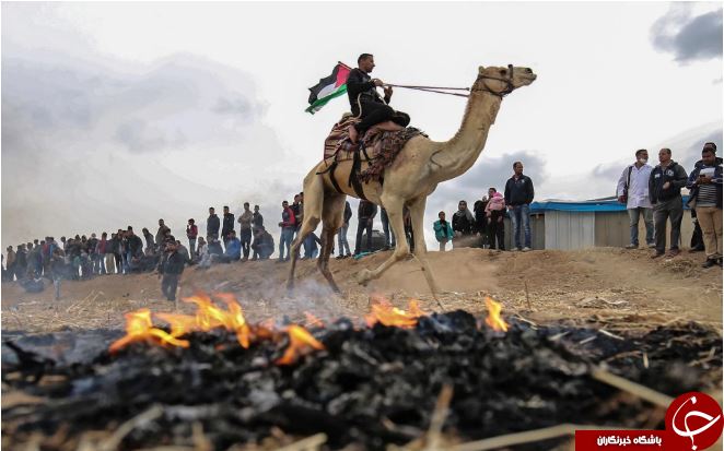 تصاویر روز: از تظاهرکنندگان فلسطینی در غزه تا نشست روسای جمهور ایران، ترکیه و روسیه