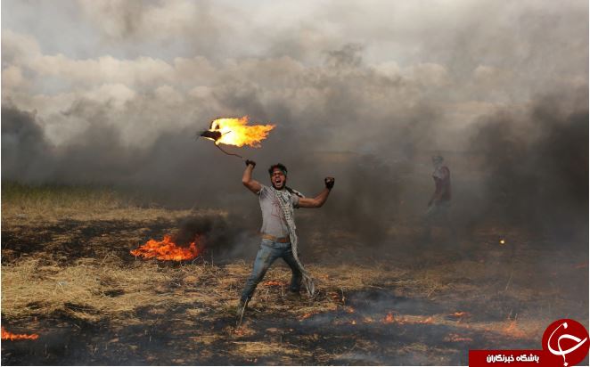 تصاویر روز: از تظاهرکنندگان فلسطینی در غزه تا نشست روسای جمهور ایران، ترکیه و روسیه