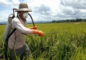 افزایش نظارت بر مزارع دارای سن‌زدگی بالای ۲ درصد