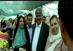 پاییزی رنگارنگ با جشنواره گل‌های داودی + فیلم