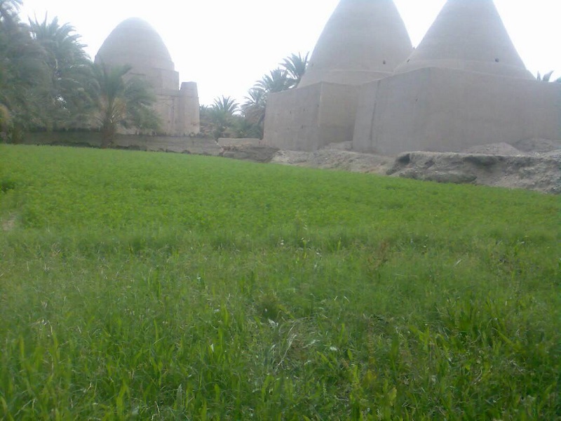 گلشن زمین کجاست؟