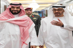 شریک محمد بن سلمان در محیط زیست ایران چه می&zwnj;کند؟ +عکس